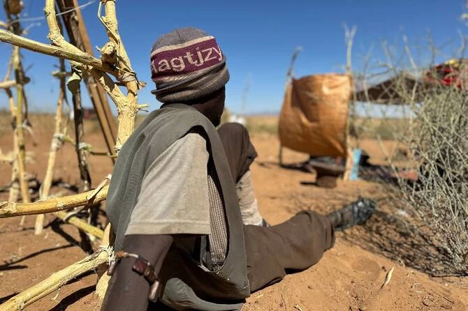 Kesaksian Penyiksaan dan Penjara Darurat RSF di Darfur Utara
